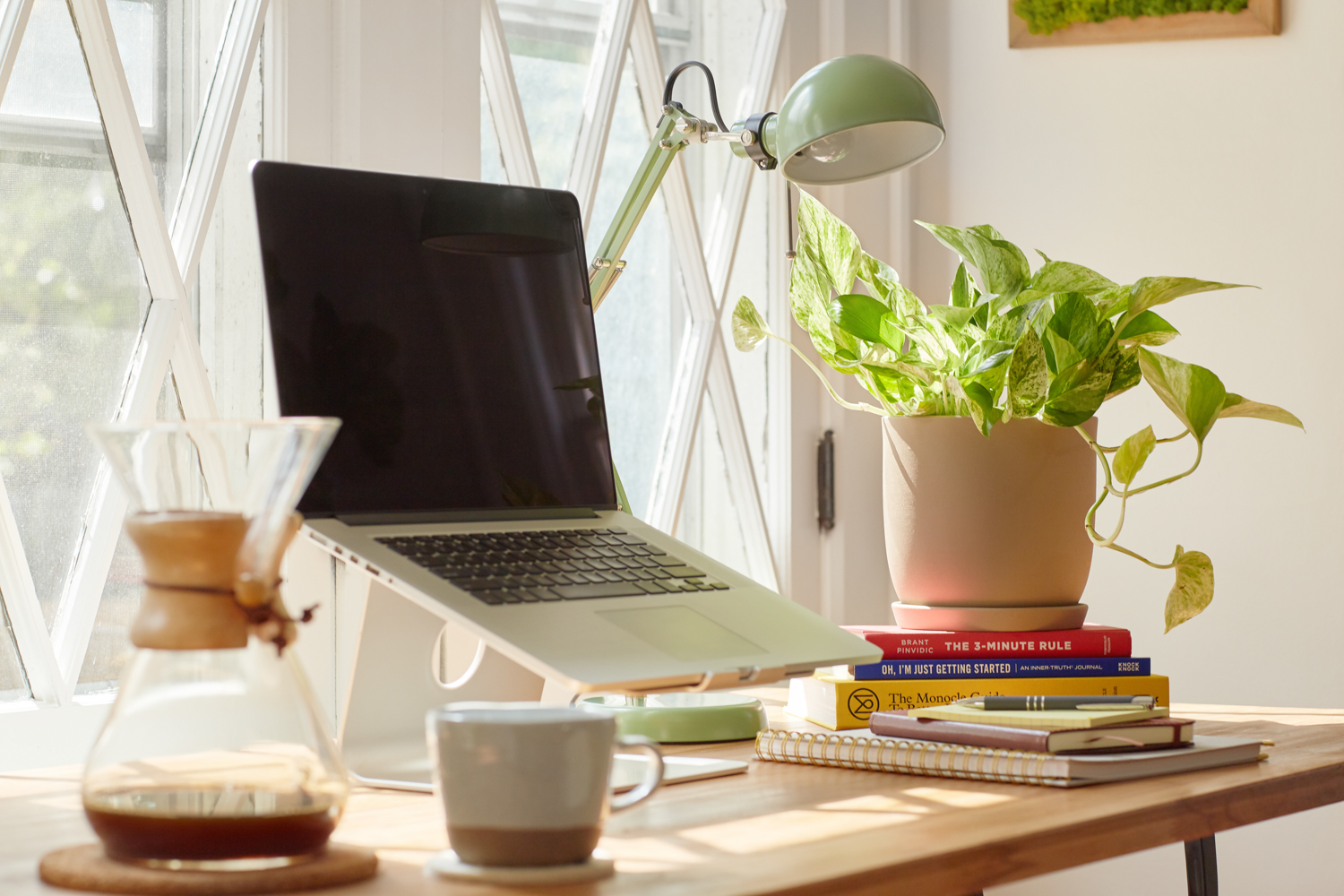 Example of biophilic design in home office space.