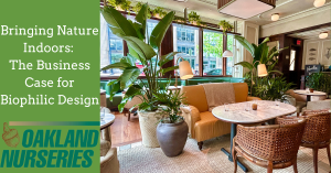 Bringing Nature Indoors: The Business Case for Biophilic Design